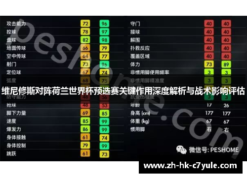 维尼修斯对阵荷兰世界杯预选赛关键作用深度解析与战术影响评估