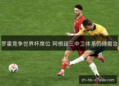 罗霍竞争世界杯席位 阿根廷三中卫体系仍待磨合 罗霍竞争世界杯席位 阿根廷三中卫体系仍待磨合